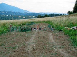 Preparazione 10    