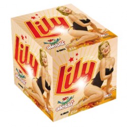 Lily 16